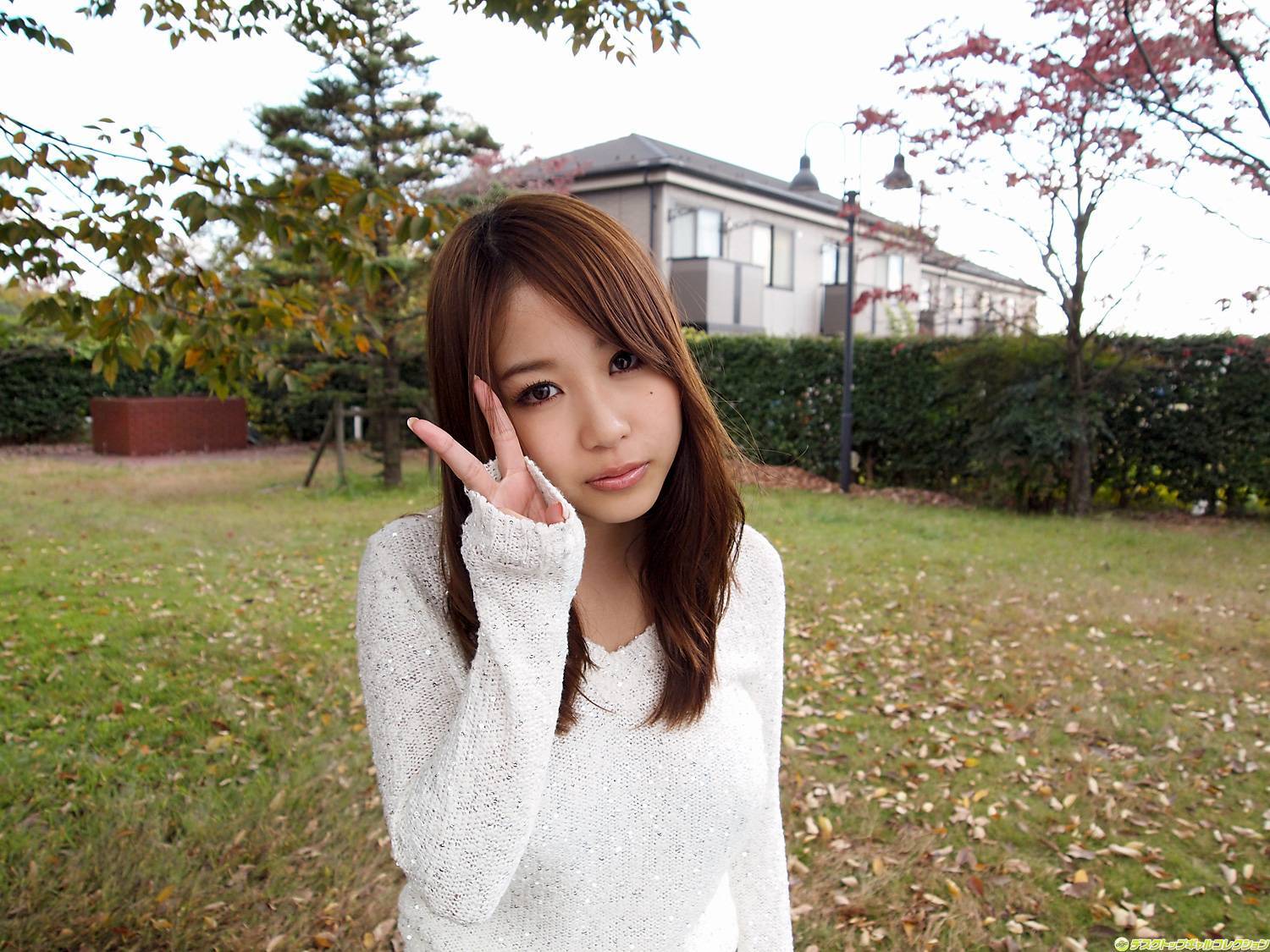 NO.915 西田麻衣 Mai Nishida  DGC套图